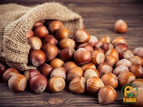 Best bulk hazelnuts in shell + great purchase price