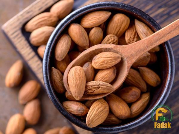 buy nut