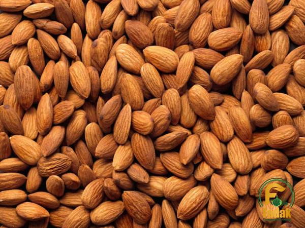 Getting to know almonds in shell + the exceptional price of buying almonds in shell