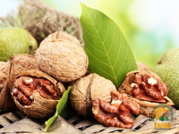 Buy shelled walnuts nutrition + great price with guaranteed quality