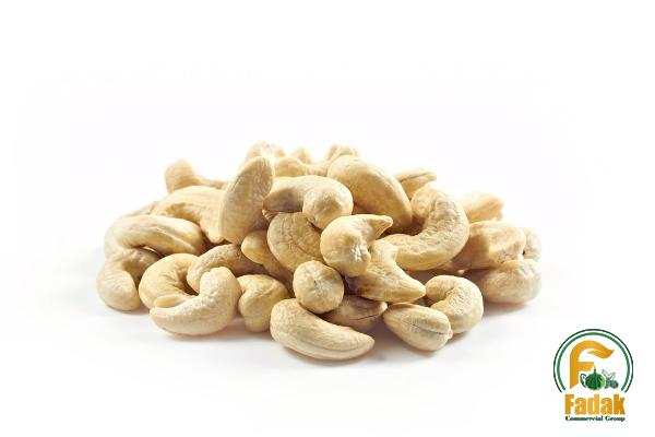 Specifications of nut