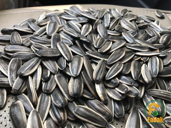 Bigs sunflower seeds purchase price + quality test