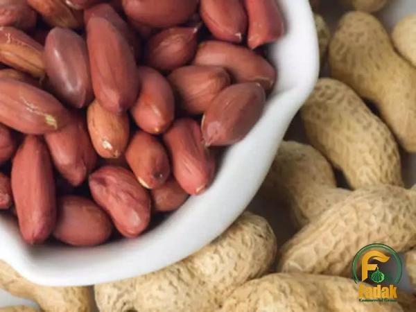 Best roasted peanuts 2023 price list