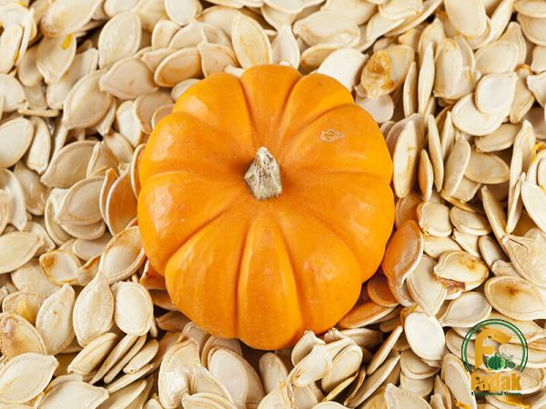 Pumpkin seeds Costco price + wholesale and cheap packing specifications