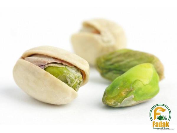 The most appropriate price for Greek pistachios bulk in Jun 2023