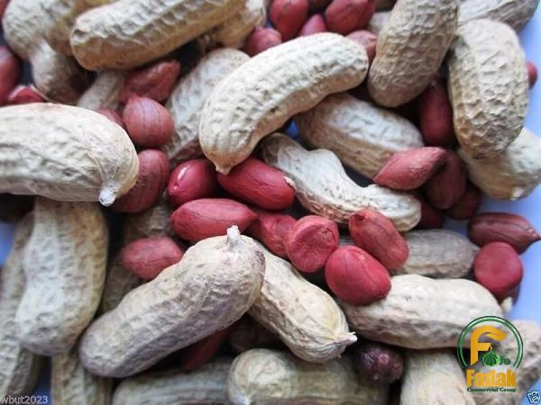 The purchase price of roasted peanuts homemade + properties, disadvantages and advantages