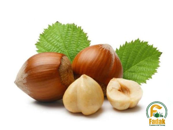 Specifications roasted hazelnuts amazon + purchase price