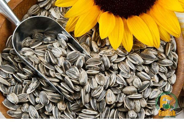 Raw sunflower seeds bulk | Buy at a cheap price